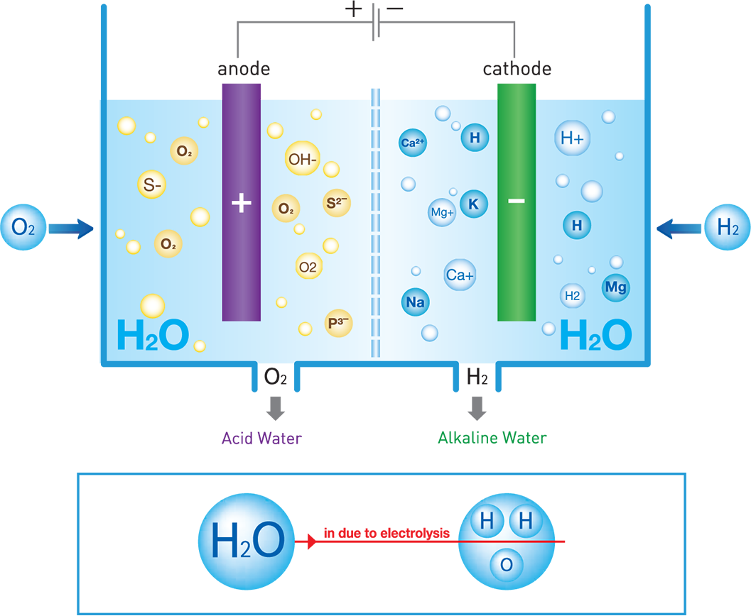 hydrogen water ionizer