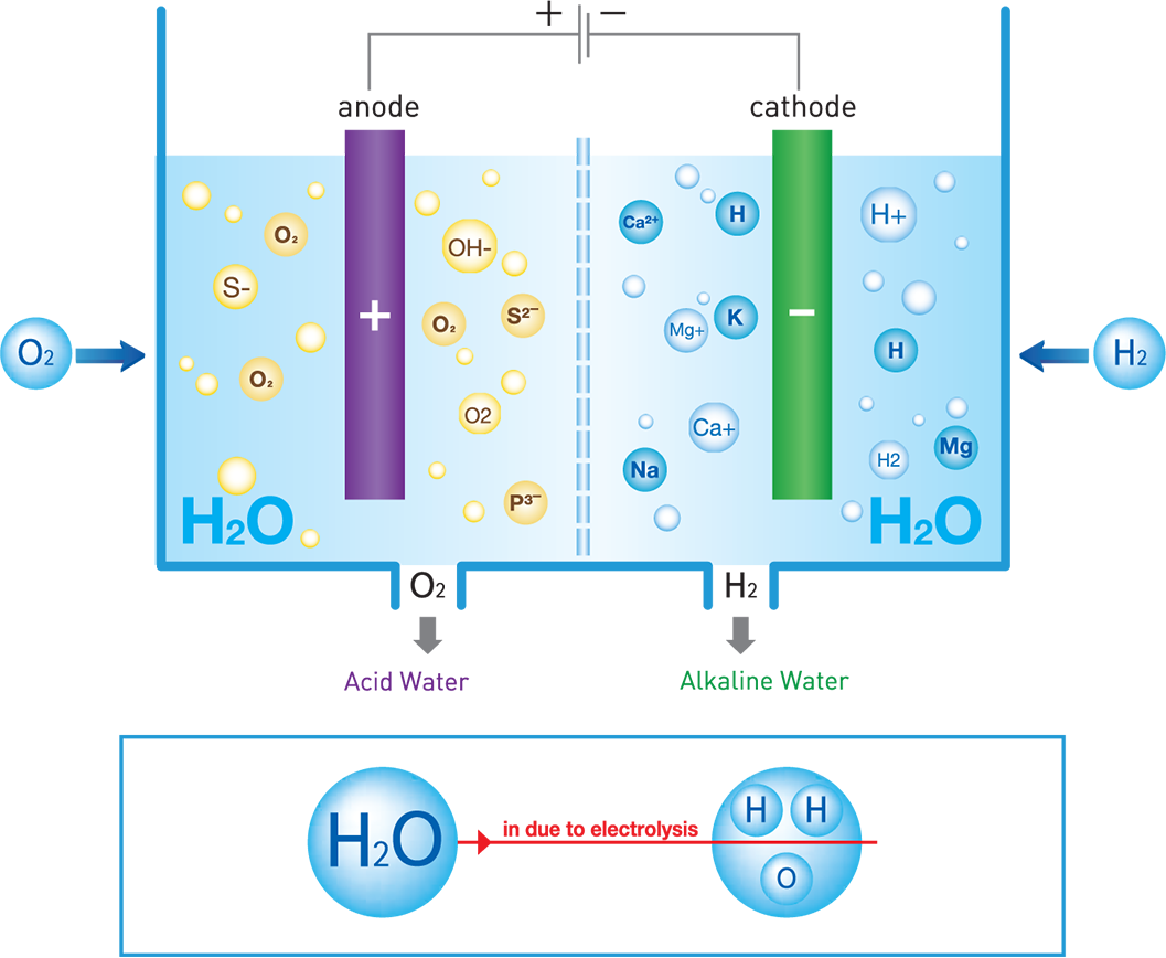 alakline drinking water ionizer