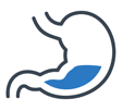 ionizer water purifier